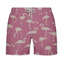 Shorts SB Estampado Flamingos - Masculino - Foto 1