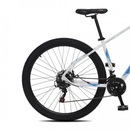 Mountain Bike Colli Duster - Aro 29  -  Freios a Disco - Câmbio Shimano - 21 Marchas - Foto 3