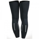 Pernito Hupi - Adulto - Foto 3