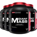 Kit Giant Mass Bodybuilders - Morango - 3kg - 4 unidades - Foto 1