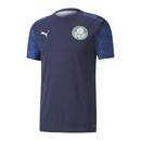 Camisa de Treino do Palmeiras 2020 Puma - Masculina - Foto 1