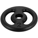 Anilha Giannini Pintado - 2 Kg - Foto 1