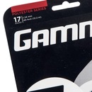 Corda Gamma Moto 17L 1.24mm - Pack com 6 Sets - Foto 2