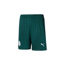 Calção do Palmeiras II 2023 Puma - Masculino - Foto 1