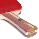 Raquete de Tênis de Mesa DHS Clássica H2002 ITTF Approved 2 Estrelas - Foto 4