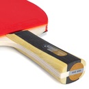 Raquete de Tênis de Mesa DHS Clássica H1002 ITTF Approved 1 Estrela - Foto 4