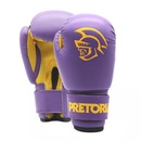 Kit de Lutas Pretorian Boxe e Muay Thai com Saco de Pancada + Luvas 2 - Infantil - Foto 2
