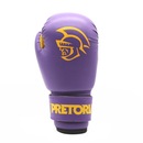 Kit de Lutas Pretorian Boxe e Muay Thai com Saco de Pancada + Luvas 2 - Infantil - Foto 3