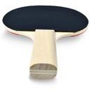 Raquete de Tênis de Mesa e Ping Pong Lazer Pista e Campo - Foto 4