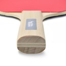 Raquete de Tênis de Mesa e Ping Pong Lazer Pista e Campo - Foto 5