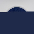 Gorro DC Shoes Fish N Destroy 2 - Adulto - Foto 4