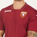 Camisa do Torino Home 2024 Joma - Masculina - Foto 4