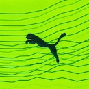 Camisa do Palmeiras Torcedor Third Jsy 23 Puma - Masculina - Foto 7