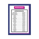 Proteína Dobro - Morango - 450g - Foto 3