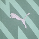 Camisa de Goleiro 2 do Palmeiras Away Jogador 24/25 Puma - Masculina - Foto 4