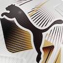 Bola de Futebol de Campo Puma Cumbre Oficial Conmebol Libertadores (FIFA) - Foto 7