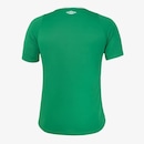 Camisa da Chapecoense I 2024 Umbro - Masculina - Foto 2