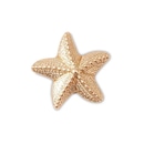 Jibbitz? Crocs Estrela do Mar - Foto 2