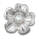 Jibbitz? Crocs Margarida Prateada 2 - Foto 1