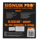 Corda Signum Pro Hyperion 16 1.30mm - Set Individual - Foto 3