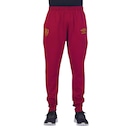 Calça do Fluminense 2024/25 Umbro Treino - Masculina - Foto 1