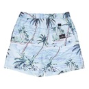 Bermuda Quiksilver Everyday Island Scenic 17" - Masculina - Foto 5