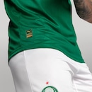 Camisa do Palmeiras 1 2025/2026 Puma Jogador - Masculina - Foto 5