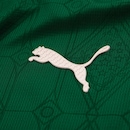 Camisa do Palmeiras 1 2025/2026 Puma Jogador - Masculina - Foto 7