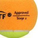 Bola de Beach Tennis Ama Sport - 06 Unidades - Foto 3