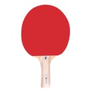 Raquete de Tênis de Mesa Fort Evo Performance - Foto 3