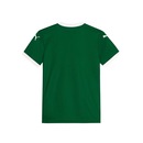 Camiseta Puma Palmeiras Torcedor I Infantil - Foto 2