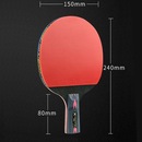 Kit Tênis Mesa Hueson Carbon-2 Raq Cabo Shorth 5 Estrelas 3 Bolas - Foto 7