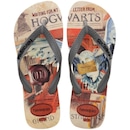 Chinelo Havaianas Top Warner Classics Masculino - Foto 1
