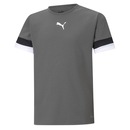 Camiseta Puma Teamrise Jersey Infantil - Foto 1