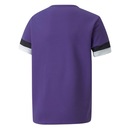 Camiseta Puma Teamrise Jersey Infantil - Foto 2