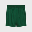 Calção do Palmeiras II 25/26 Infantil Puma Torcedor - Foto 2