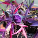 Óculos de Sol Yopp Polarizado Uv400 - Foto 4