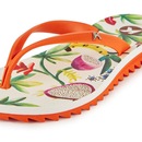 Chinelo Kenner Ibiza Fruit Feminino - Foto 4