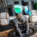 Óculos de Sol Goodr Unissex Silverback Squat Mobility - Foto 3