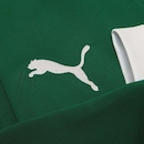 Camisa Palmeiras I 25/26 Puma Manga Longa Masculino - Foto 9