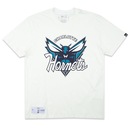 Camiseta New Era Charlotte Hornets Fanpage Masculina - Foto 1