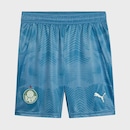 Calção de Goleiro do Palmeiras 25/26 Masculino Puma - Foto 1