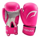 Kit Saco De Pancada + Luva Boxe Muay Thai 6OZ Edição Infantil - Pretorian - Foto 3