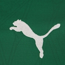 Camisa do Palmeiras I 25/26 Masculina Puma - Foto 4