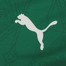Camisa do Palmeiras I 25/26 Masculina Puma Jogador - Foto 4