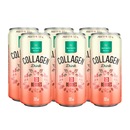 Collagen Drink 260ml Nutrify - Pack com 6 unidades - Foto 1