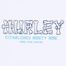 Camiseta Hurley Bones SM26 Masculina - Foto 2