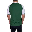 Camiseta Betel Palmeiras Goalkeeper II Masculina - Foto 6