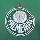 Camiseta do Palmeiras Betel Challenge II Masculina - Foto 3
