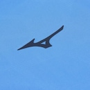 Camisa Lazio I Mizuno - Unissex - Foto 10